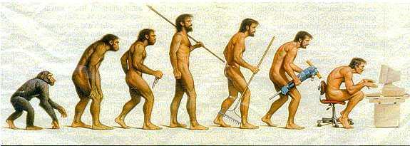 Has man really evolved?